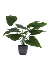 Artificial Broad Leaf Philodendron Plant 45cm (1.5ft)